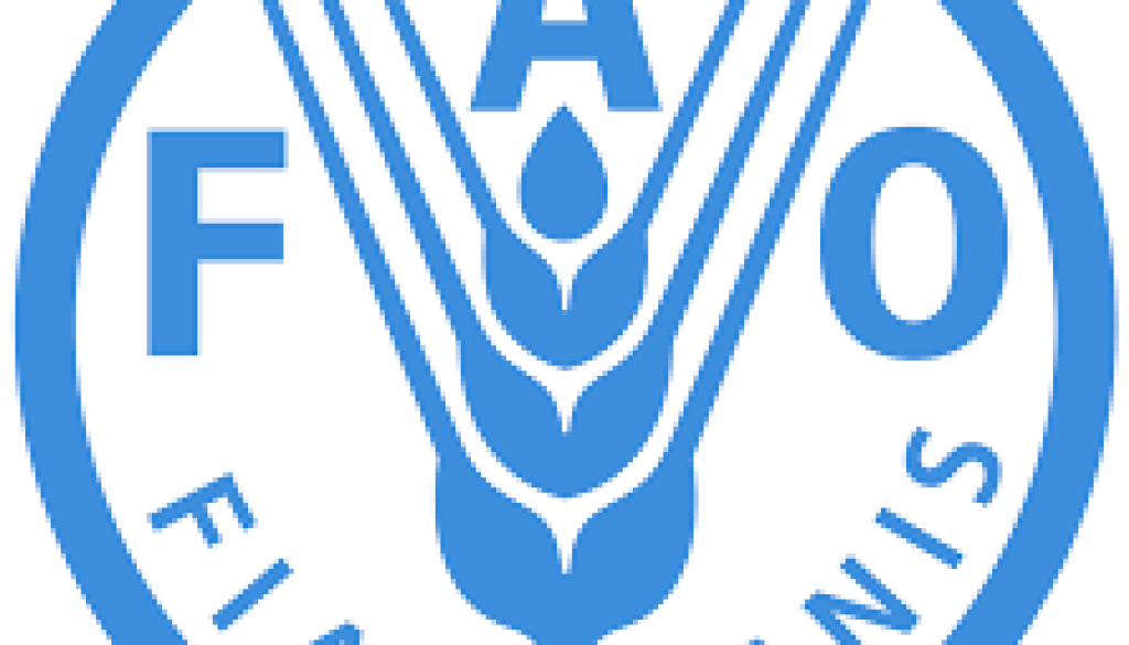 National Professional Officer (Safety & Security)Vacancy-Job Ref: JKETFAO/0409/202334