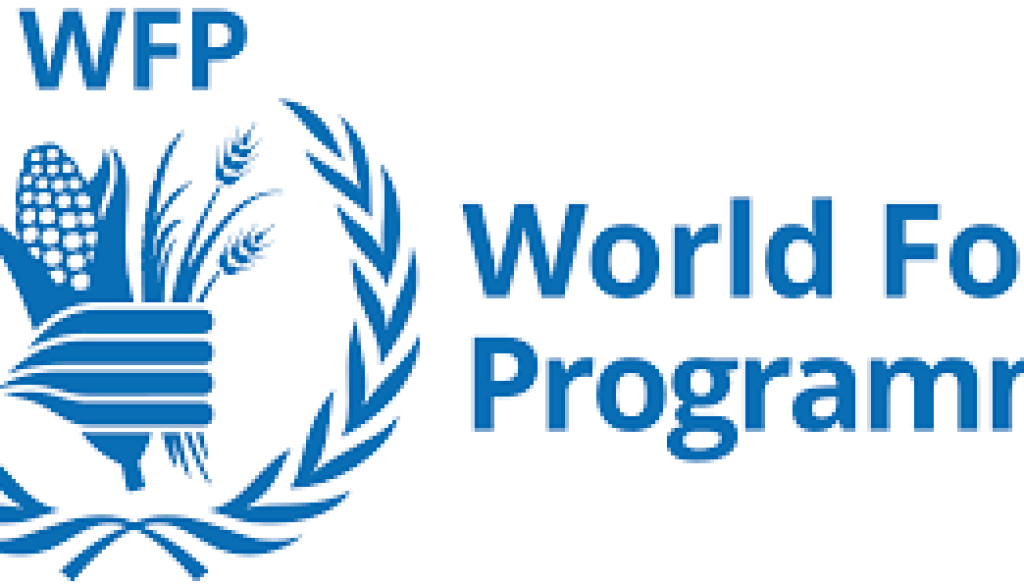 Programme Policy Officer- Project Coordinator Vacancy-Job Ref: JKETWFP/0801/202342
