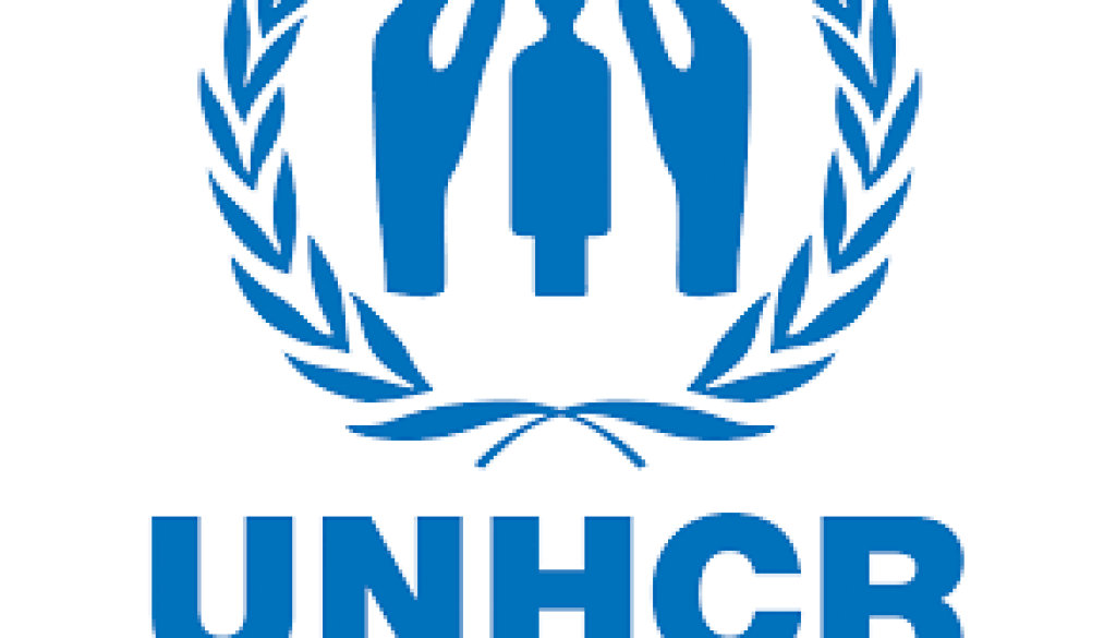Interpreter Assistant Vacancy-Job Ref: JKETUNHCR/0801/202354
